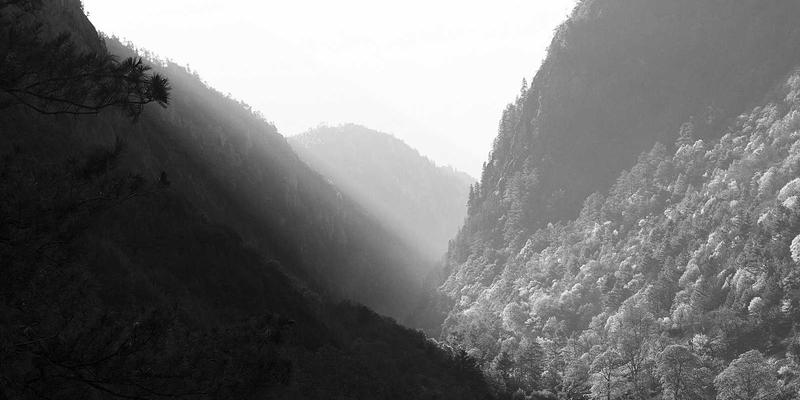 二手乐器交易指南:如何在买卖28与闲置流转中淘到宝藏?