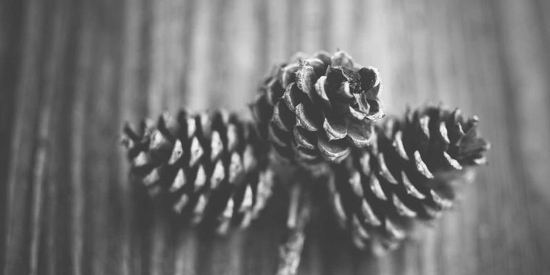 二手家电避坑指南:闲置流转中如何慧眼识珠,安全省钱两不误