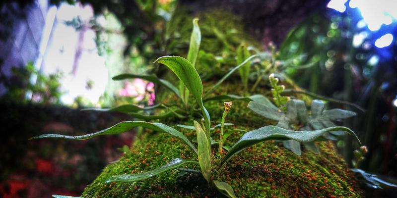 二手户外装备交易全攻略：帐篷、登山包的损耗判断与消毒处理，让闲置安全流转