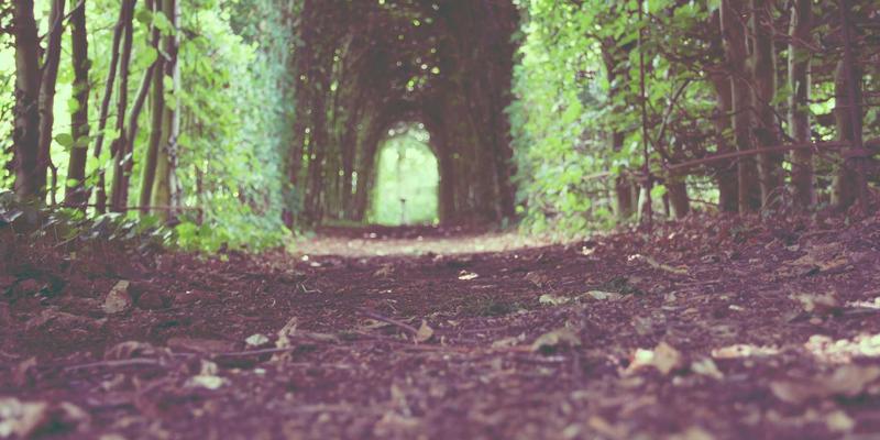 闲置物品交易必读：二手笔记本电脑验机全攻略，10步杜绝暗病陷阱